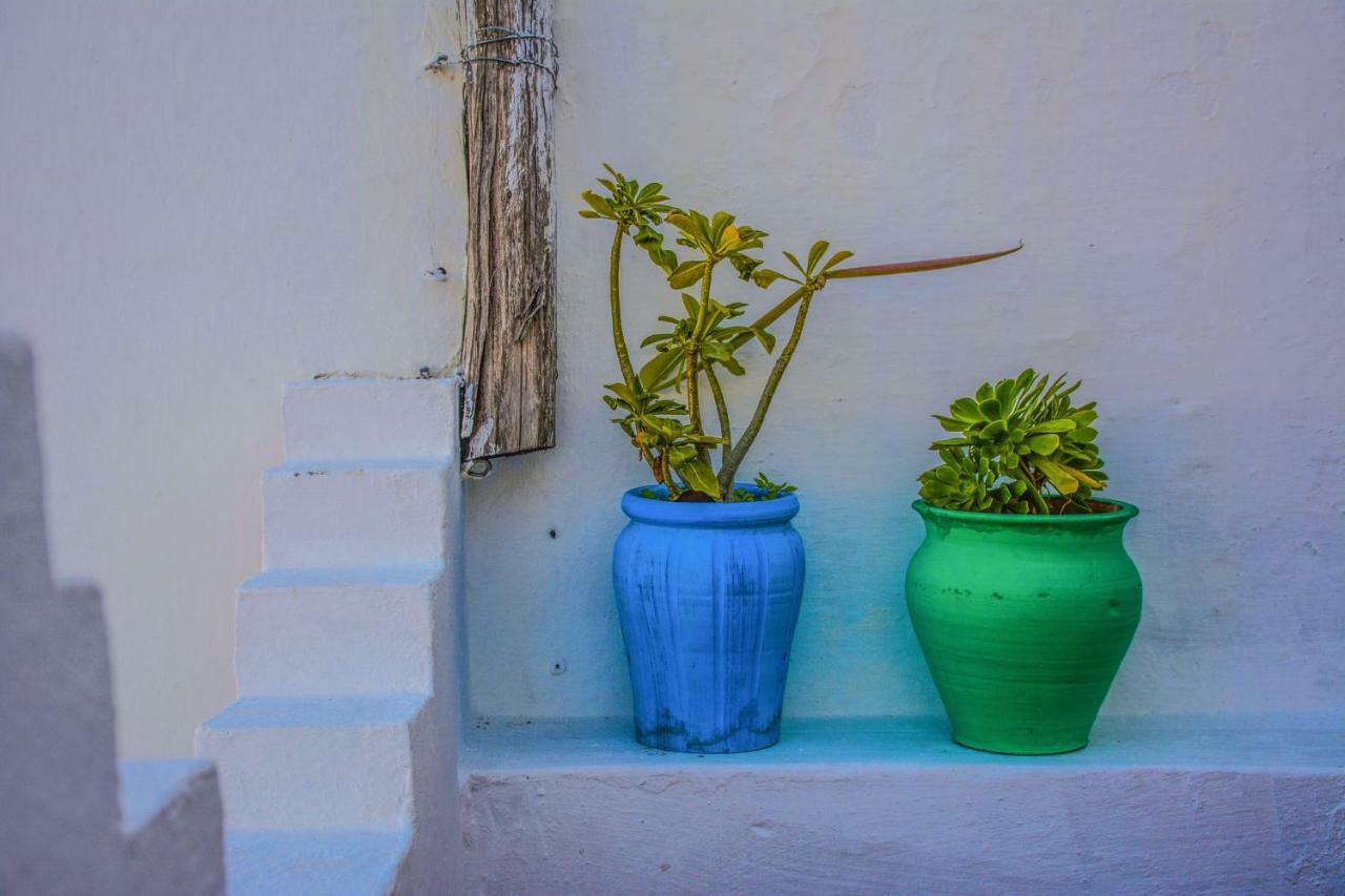 Riad Dari Tetouan Exterior photo